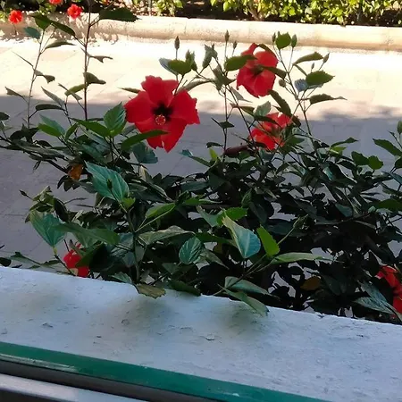 En Puerto Deportivo *